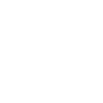 suzano-1.png