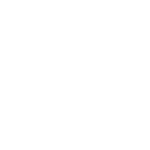 veracel-1.png